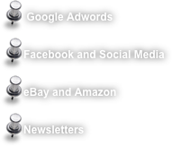  Google Adwords  
Facebook and Social Media  
eBay and Amazon  
Newsletters   