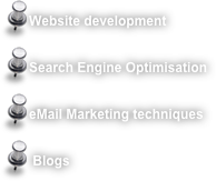 
Website development  
Search Engine Optimisation  
eMail Marketing techniques  
 Blogs
